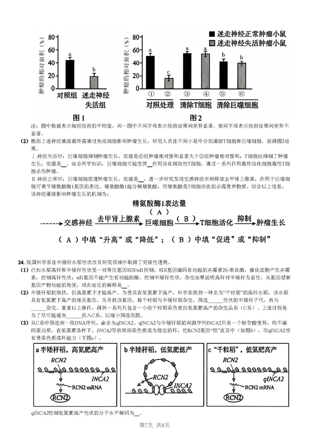 2026黑吉辽蒙生物高考真题(解析版)-第7张图片-四季读书网