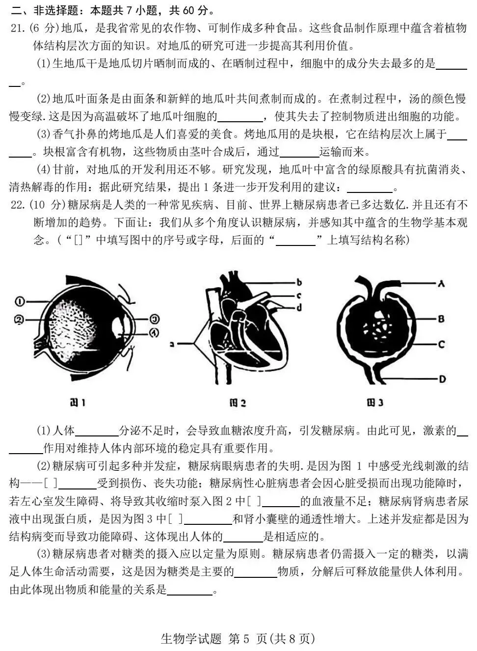中考试卷:2026年山东省初中学业水平考试|中考生物真题-第6张图片-四季读书网 中考试卷:2026年山东省初中学业水平考试|中考生物真题-第6张图片-四季读书网