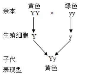 2026年江苏连云港市中考生物真题(解析版)-第7张图片-四季读书网