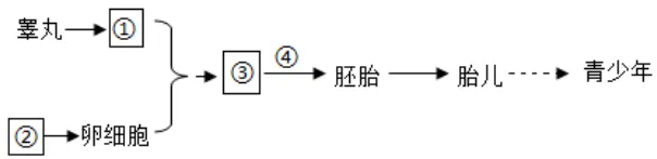 2026年江苏连云港市中考生物真题(解析版)-第9张图片-四季读书网
