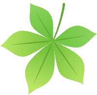 【星辰中考祝福 】学长学姐来助力 · 少年六月载荣光-第10张图片-四季读书网