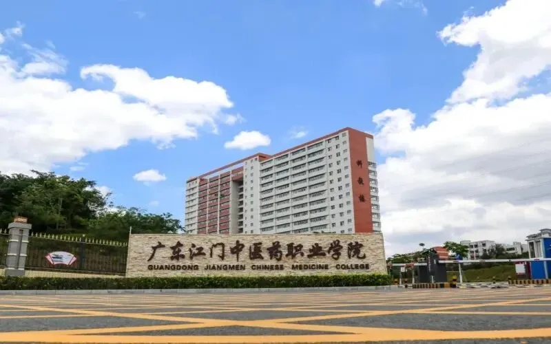 【阶段时讯】中考分流后的“医学梦”保卫战:中职“3+证书”学医全维对比与破局指南-第28张图片-四季读书网 【阶段时讯】中考分流后的“医学梦”保卫战:中职“3+证书”学医全维对比与破局指南-第28张图片-四季读书网