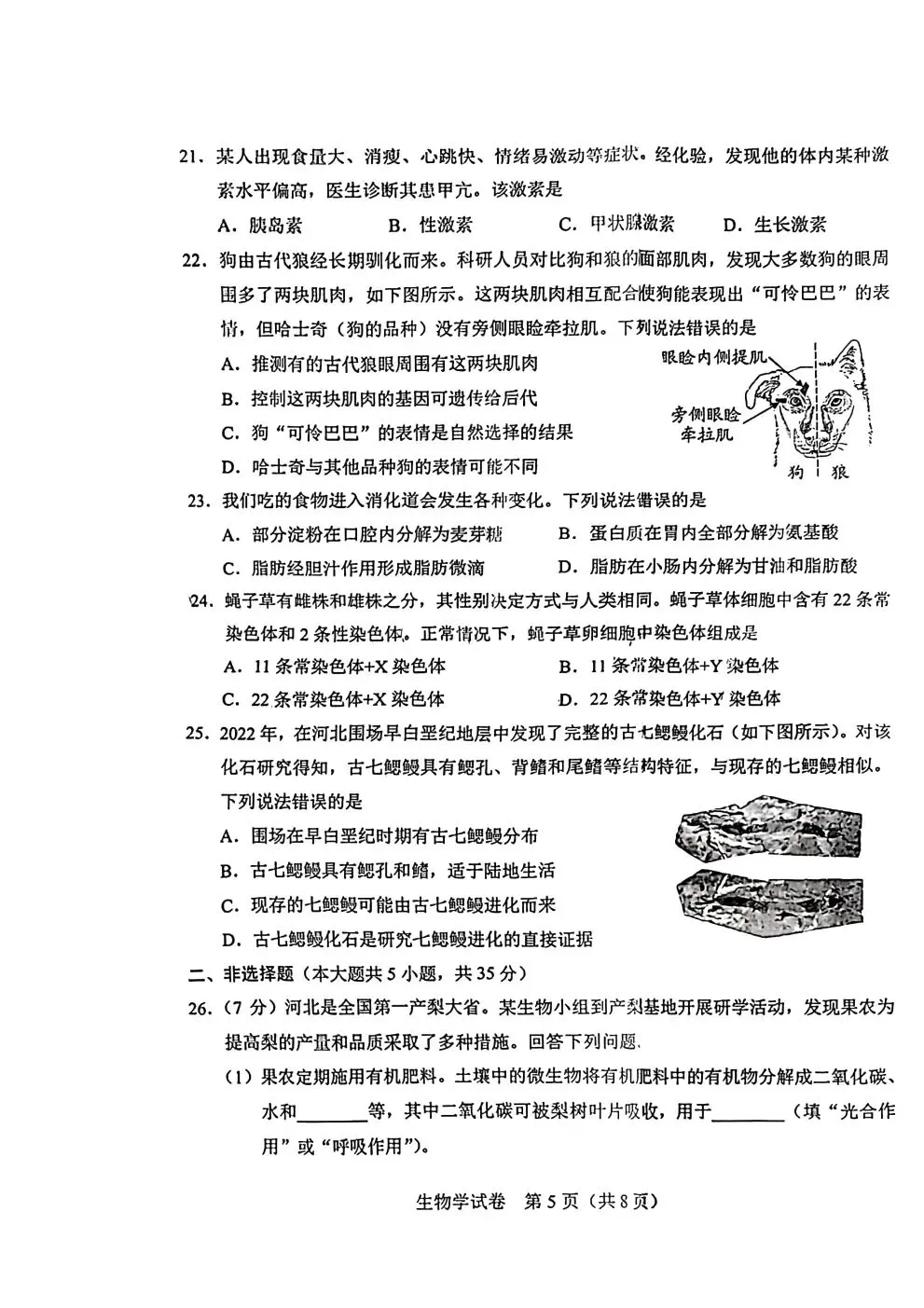 2024年河北中考地理生物真题卷及答案-第11张图片-四季读书网