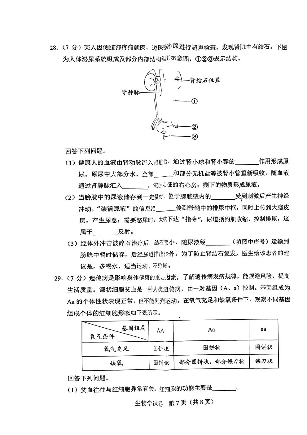 2024年河北中考地理生物真题卷及答案-第13张图片-四季读书网