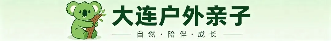 端午特惠【老虎滩海洋公园】中考毕业生五馆票99元!东北超优惠人群专享148元!-第1张图片-四季读书网
