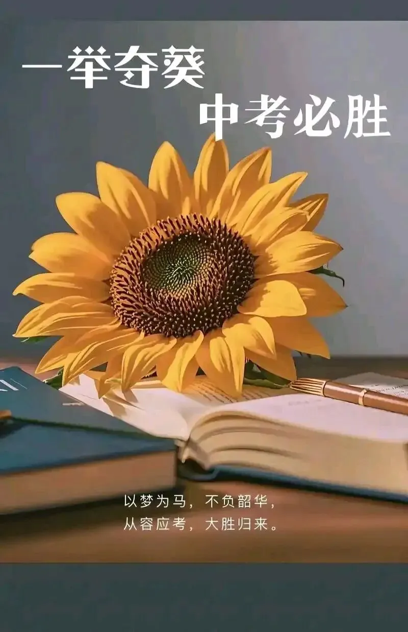 中考孩子的父母心-第1张图片-四季读书网
