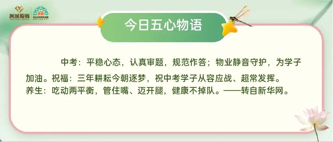 夏日•五心物语 中考温馨提示-第1张图片-四季读书网