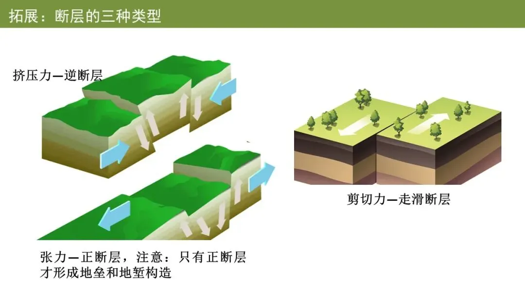 2026年黑吉辽蒙高考地理真题解析(选择题官方答案),网传答案有两题错误-第5张图片-四季读书网