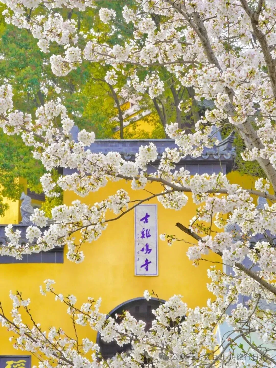 临近中考,南京哪里求“分”更灵?-第13张图片-四季读书网 临近中考,南京哪里求“分”更灵?-第13张图片-四季读书网