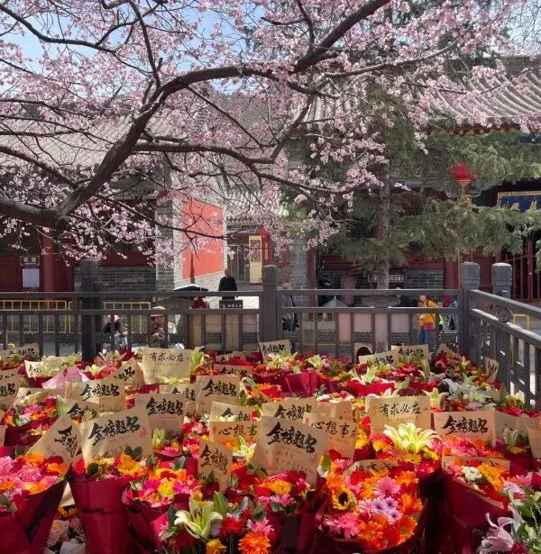 临近中考,南京哪里求“分”更灵?-第16张图片-四季读书网 临近中考,南京哪里求“分”更灵?-第16张图片-四季读书网