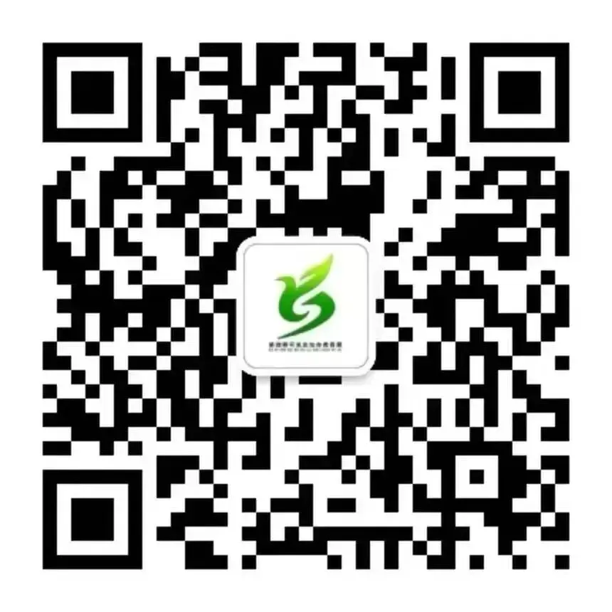 精准调度压实备考举措 凝心聚力护航中考收官—— 师市开展2026年备考线上调度工作-第4张图片-四季读书网