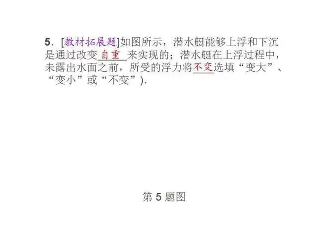 中考物理复习细致材料-第108张图片-四季读书网