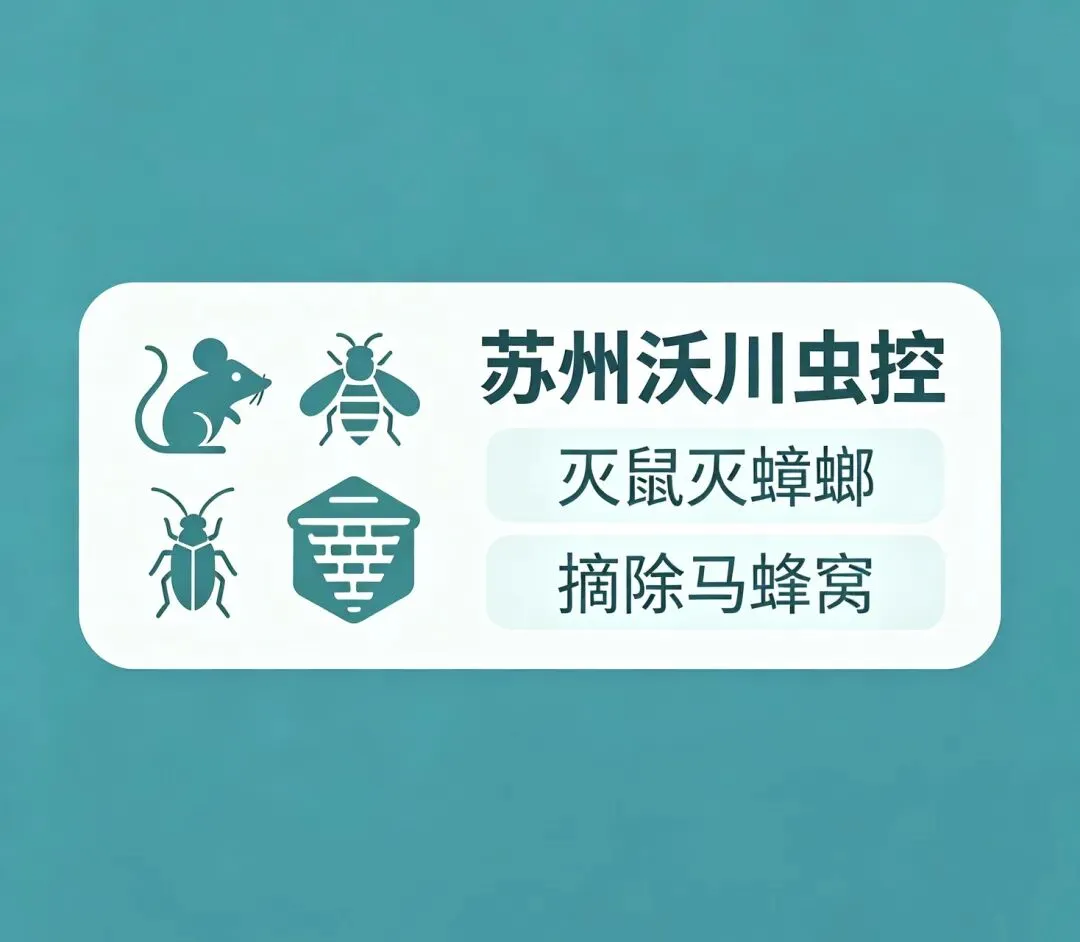 中考作文我心中的飞地-第1张图片-四季读书网 中考作文我心中的飞地-第1张图片-四季读书网