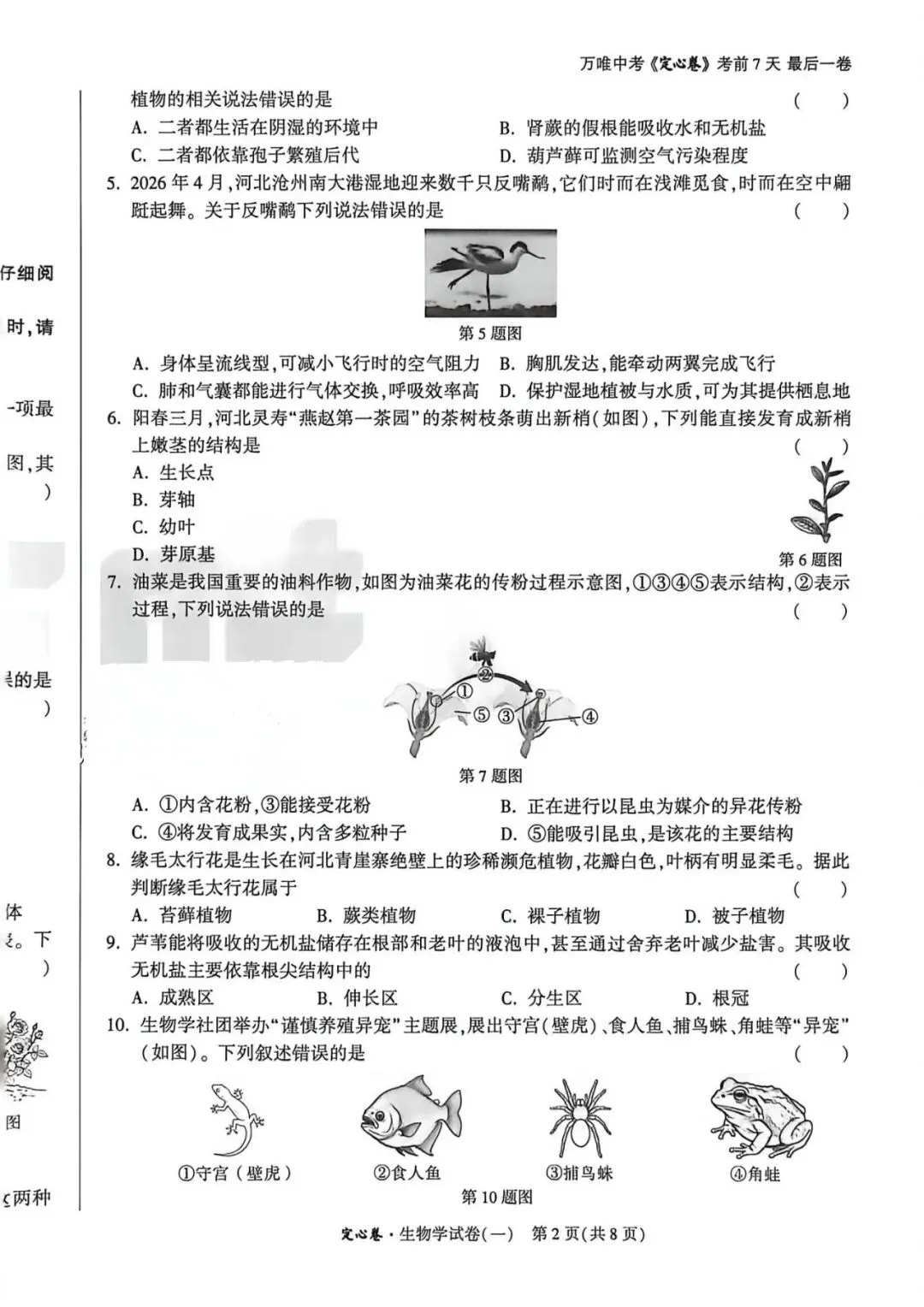 2026•河北生地定心卷-生物试卷-第12张图片-四季读书网 2026•河北生地定心卷-生物试卷-第12张图片-四季读书网