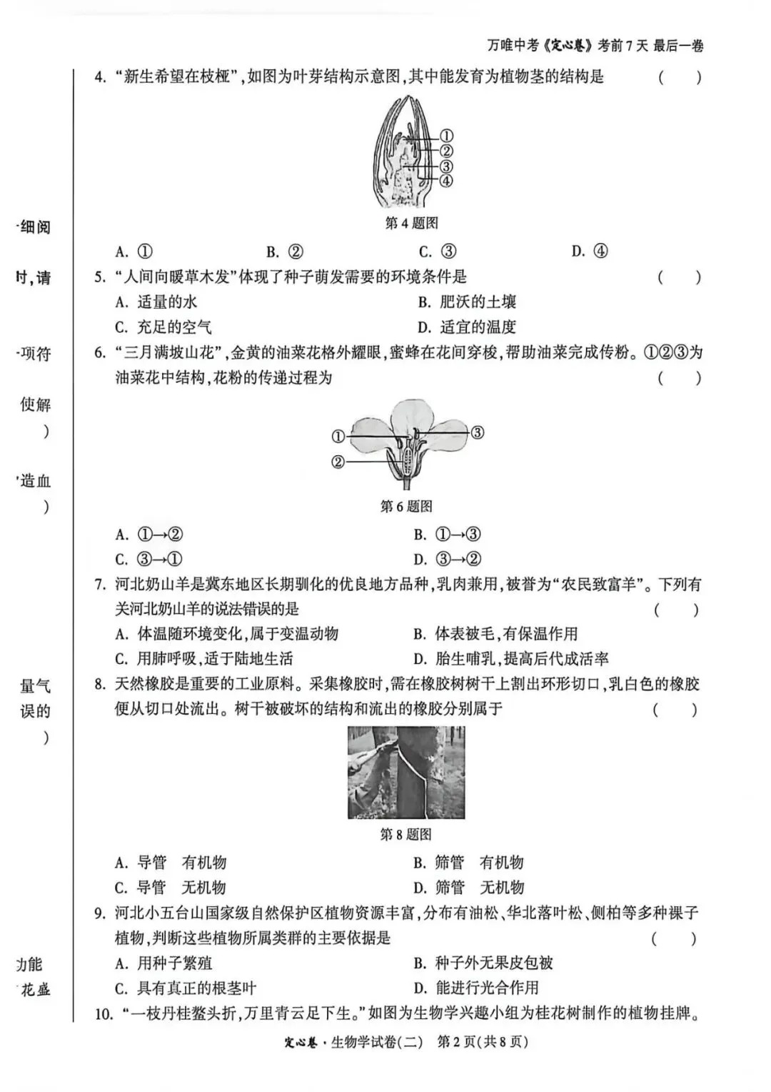 2026•河北生地定心卷-生物试卷-第20张图片-四季读书网 2026•河北生地定心卷-生物试卷-第20张图片-四季读书网