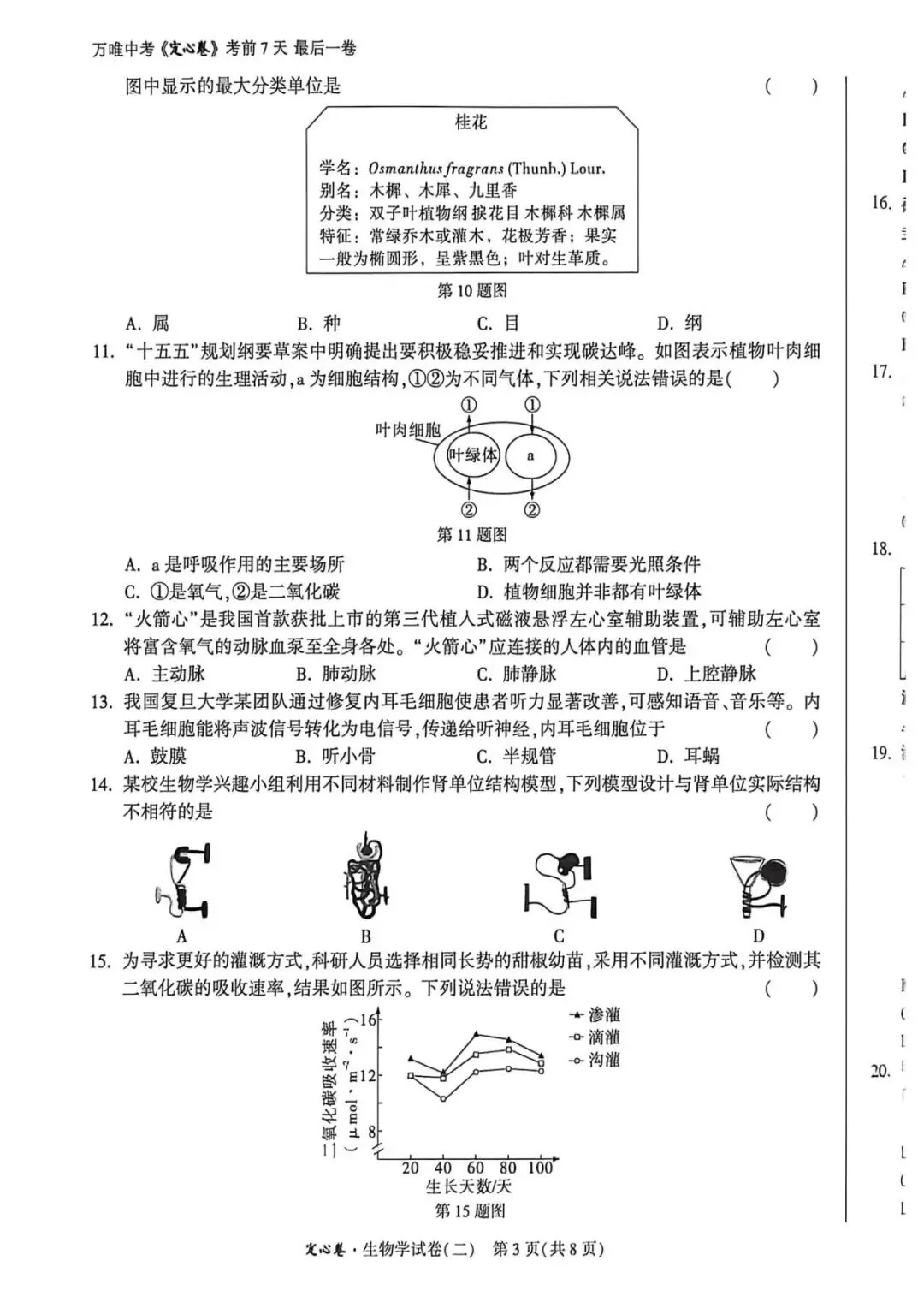 2026•河北生地定心卷-生物试卷-第21张图片-四季读书网 2026•河北生地定心卷-生物试卷-第21张图片-四季读书网