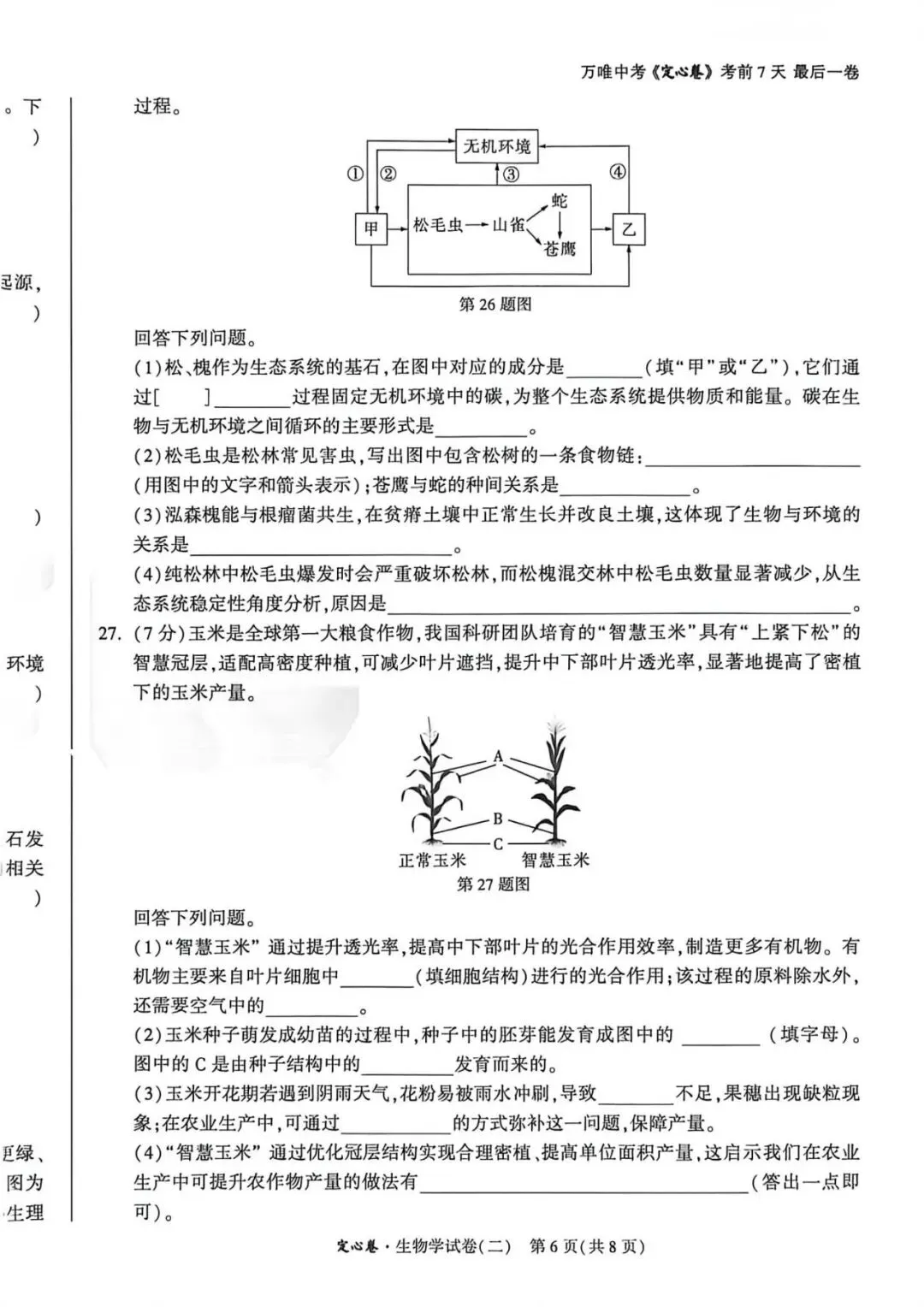 2026•河北生地定心卷-生物试卷-第24张图片-四季读书网 2026•河北生地定心卷-生物试卷-第24张图片-四季读书网