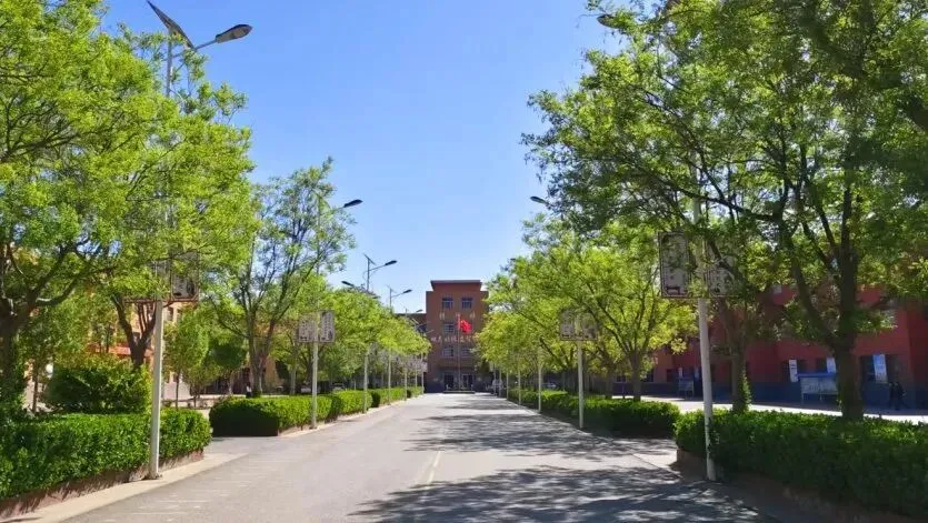 青县清州镇实验中学2026年中考直通车-第19张图片-四季读书网 青县清州镇实验中学2026年中考直通车-第19张图片-四季读书网