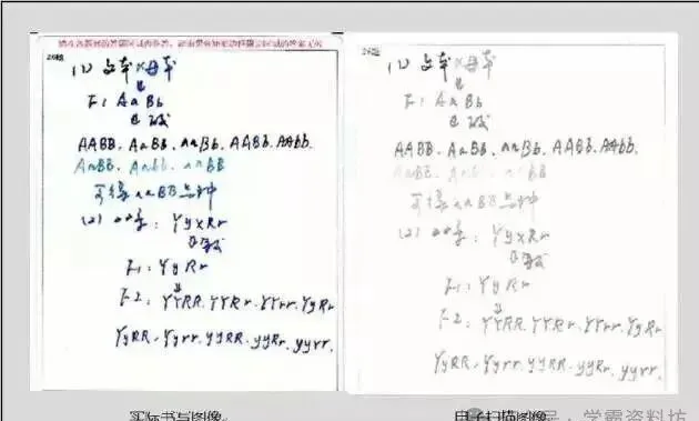 南京中考“电脑阅卷潜规则”!书写规范要求.-第17张图片-四季读书网