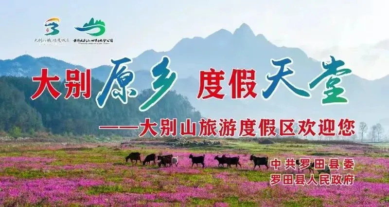 罗田中考遇上端午假期!这份实用资讯请收好→-第2张图片-四季读书网