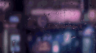 端午偶遇中考,大雨来袭!请收好这份出行赶考防雨指南.-第2张图片-四季读书网 端午偶遇中考,大雨来袭!请收好这份出行赶考防雨指南.-第2张图片-四季读书网