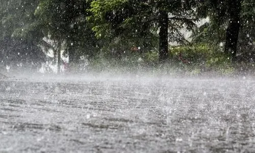 端午偶遇中考,大雨来袭!请收好这份出行赶考防雨指南.-第5张图片-四季读书网 端午偶遇中考,大雨来袭!请收好这份出行赶考防雨指南.-第5张图片-四季读书网