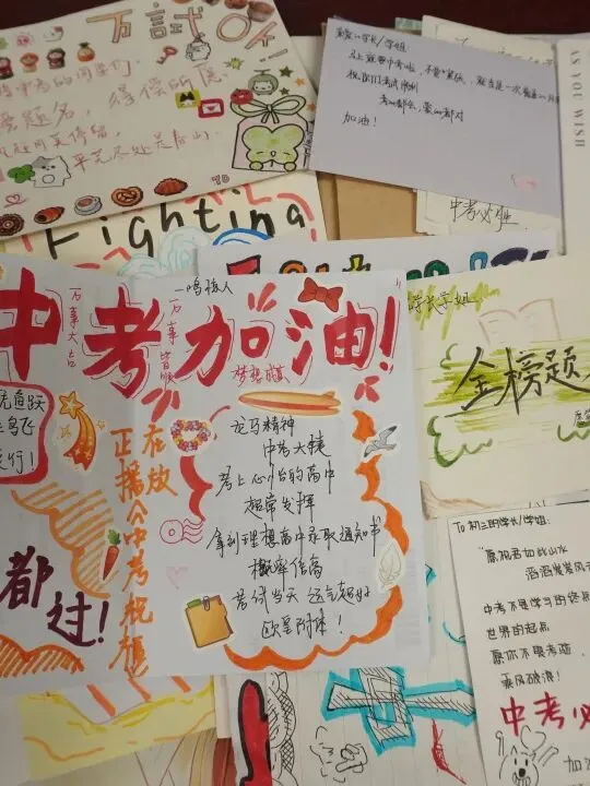 中考作文,盐中答卷——无解方程,多种答案-第27张图片-四季读书网