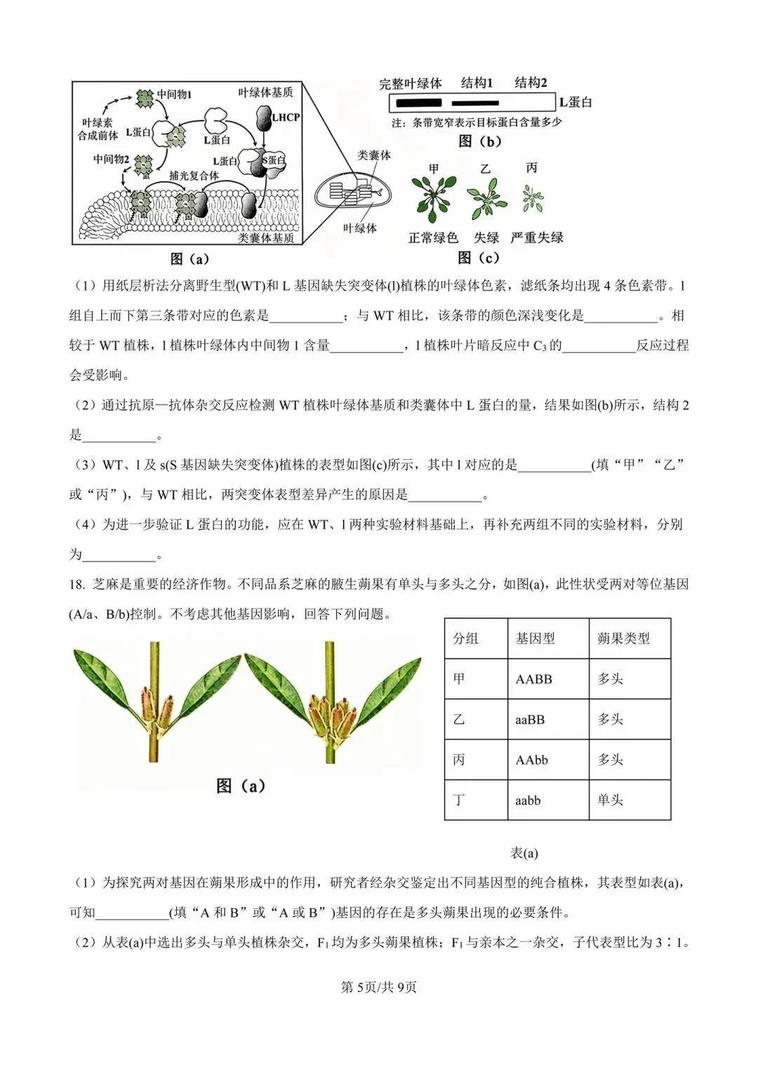 陕晋青宁2026年高考真题-第5张图片-四季读书网