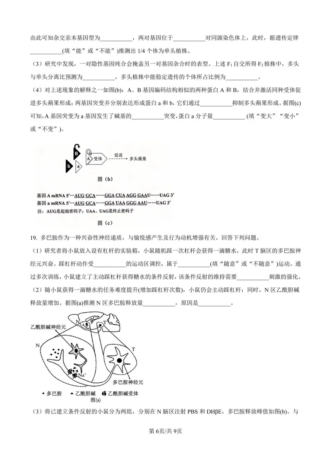 陕晋青宁2026年高考真题-第6张图片-四季读书网