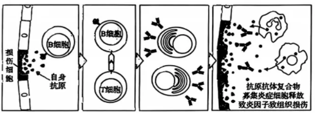 黑吉辽蒙2026年生物高考真题(Word版)-第5张图片-四季读书网 黑吉辽蒙2026年生物高考真题(Word版)-第5张图片-四季读书网