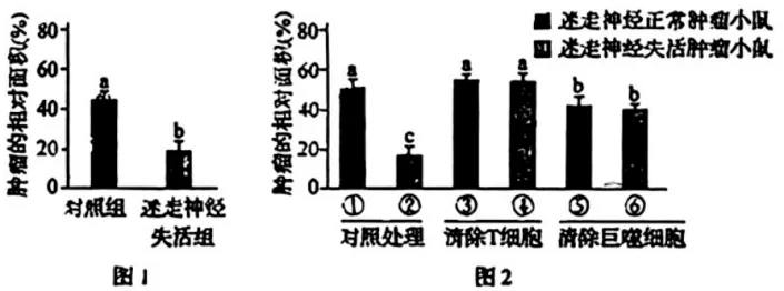 黑吉辽蒙2026年生物高考真题(Word版)-第8张图片-四季读书网 黑吉辽蒙2026年生物高考真题(Word版)-第8张图片-四季读书网