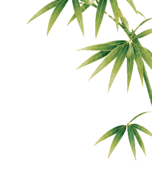 【学校通知】麻城市第六初级中学端午节及中考假期安全温馨提示-第3张图片-四季读书网