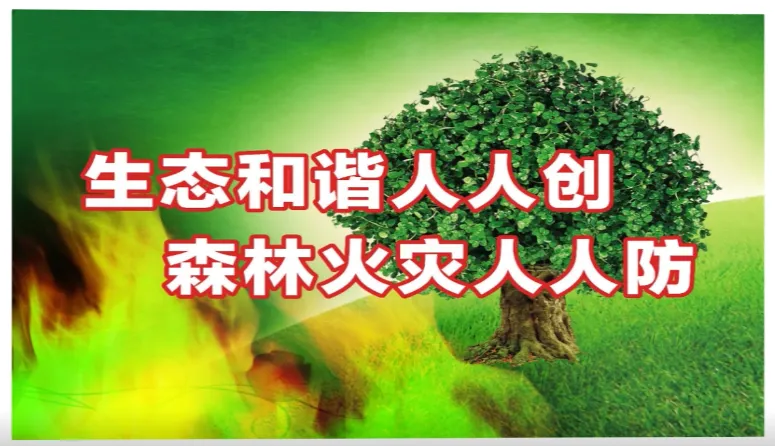 中考期间多阵雨-第5张图片-四季读书网 中考期间多阵雨-第5张图片-四季读书网