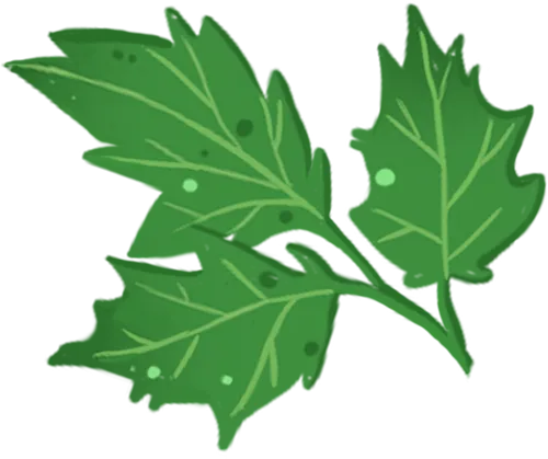 深渡早知道丨降噪迎中考,便民暖护航-第2张图片-四季读书网