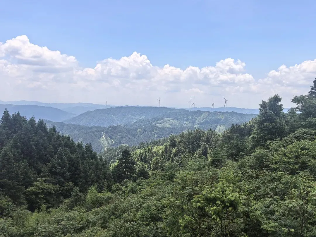 端午及中考期间我县有强降雨天气 需加强灾害防范-第1张图片-四季读书网