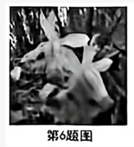 2026年重庆中考真题试题+答案解析(语文/数学/英语/物理/化学/道德与法治/历史/地理/生物)| PDF高清下载版-第71张图片-四季读书网