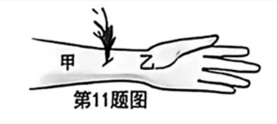 2026年重庆中考真题试题+答案解析(语文/数学/英语/物理/化学/道德与法治/历史/地理/生物)| PDF高清下载版-第72张图片-四季读书网