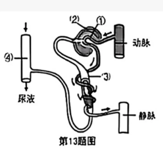 2026年重庆中考真题试题+答案解析(语文/数学/英语/物理/化学/道德与法治/历史/地理/生物)| PDF高清下载版-第73张图片-四季读书网