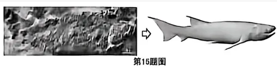 2026年重庆中考真题试题+答案解析(语文/数学/英语/物理/化学/道德与法治/历史/地理/生物)| PDF高清下载版-第74张图片-四季读书网