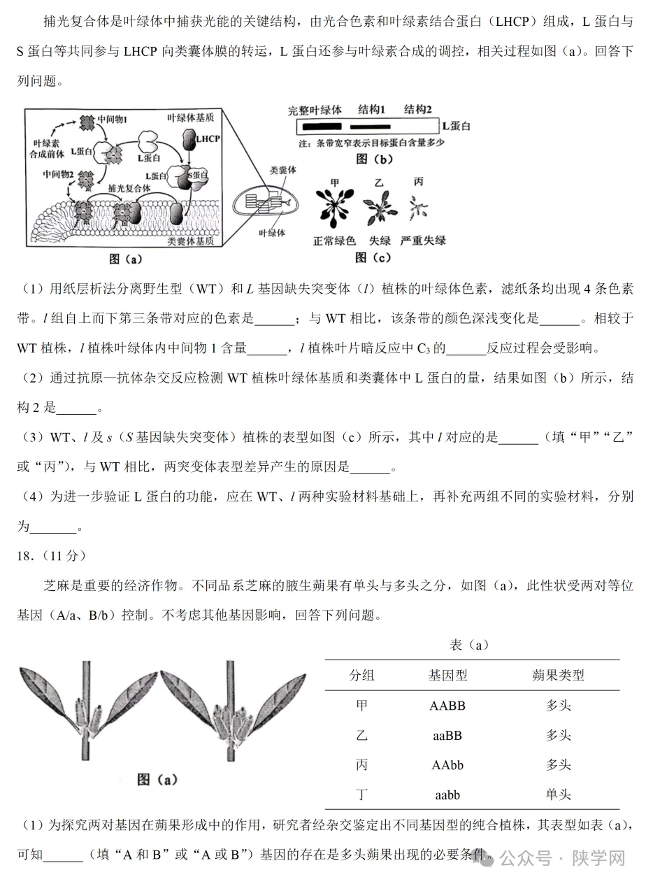 【完整版】2026年陕西高考各科试卷及答案!-第49张图片-四季读书网 【完整版】2026年陕西高考各科试卷及答案!-第49张图片-四季读书网