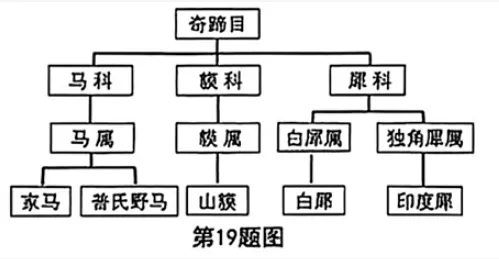 2026年重庆中考真题试题+答案解析(语文/数学/英语/物理/化学/道德与法治/历史/地理/生物)| PDF高清下载版-第75张图片-四季读书网