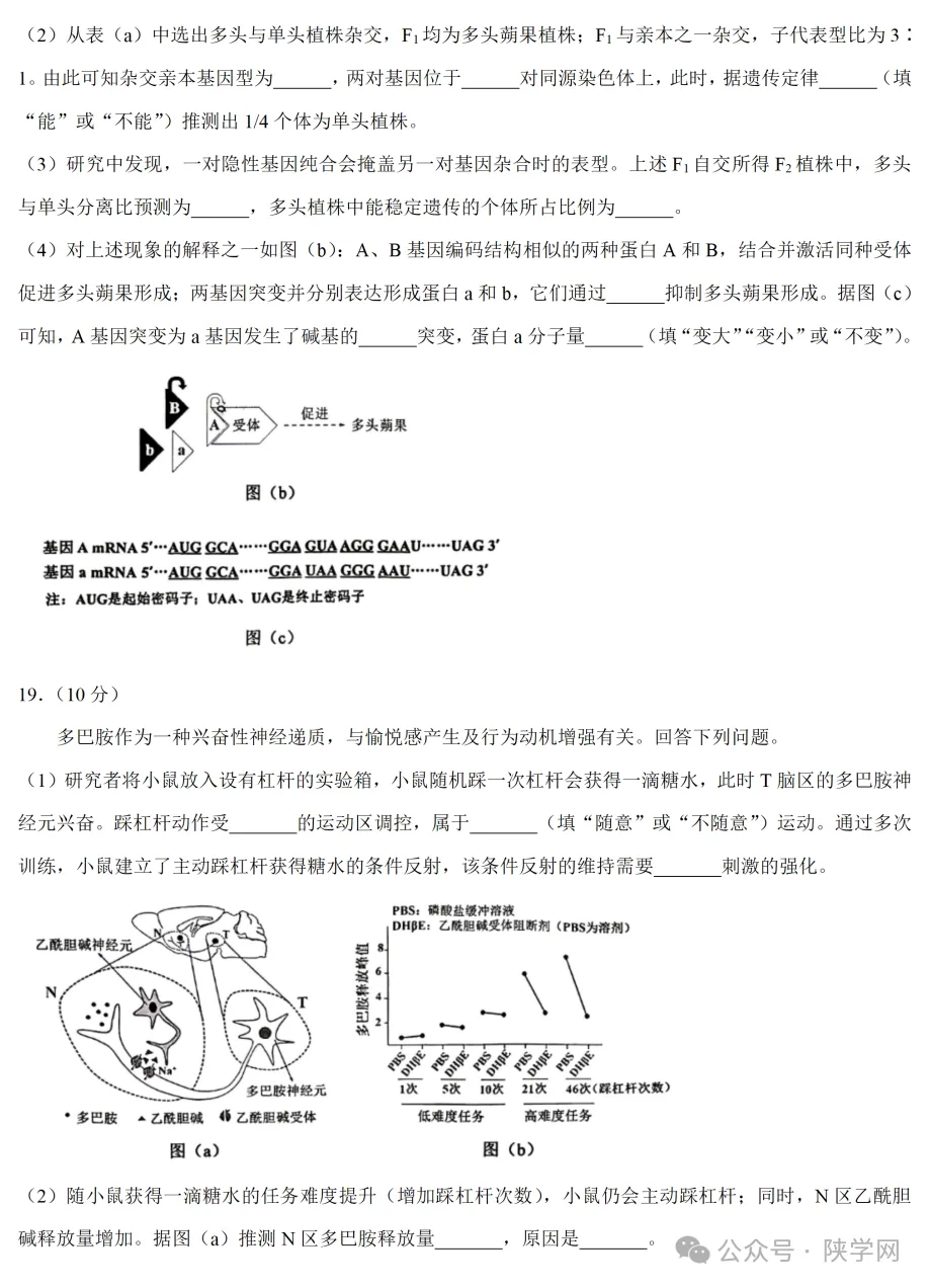 【完整版】2026年陕西高考各科试卷及答案!-第50张图片-四季读书网 【完整版】2026年陕西高考各科试卷及答案!-第50张图片-四季读书网