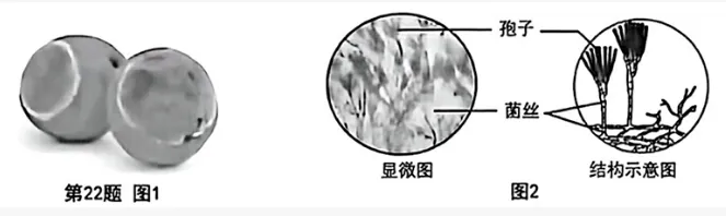 2026年重庆中考真题试题+答案解析(语文/数学/英语/物理/化学/道德与法治/历史/地理/生物)| PDF高清下载版-第77张图片-四季读书网