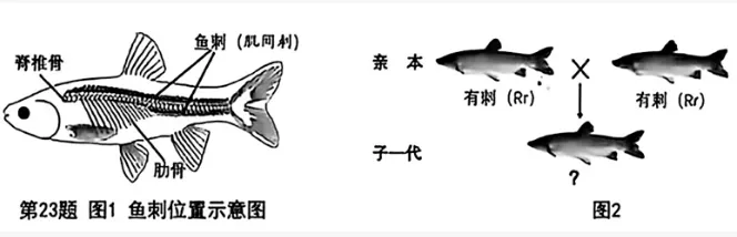 2026年重庆中考真题试题+答案解析(语文/数学/英语/物理/化学/道德与法治/历史/地理/生物)| PDF高清下载版-第79张图片-四季读书网