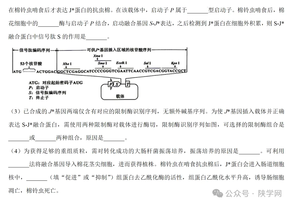 【完整版】2026年陕西高考各科试卷及答案!-第52张图片-四季读书网 【完整版】2026年陕西高考各科试卷及答案!-第52张图片-四季读书网