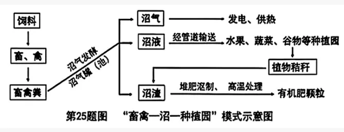 2026年重庆中考真题试题+答案解析(语文/数学/英语/物理/化学/道德与法治/历史/地理/生物)| PDF高清下载版-第81张图片-四季读书网