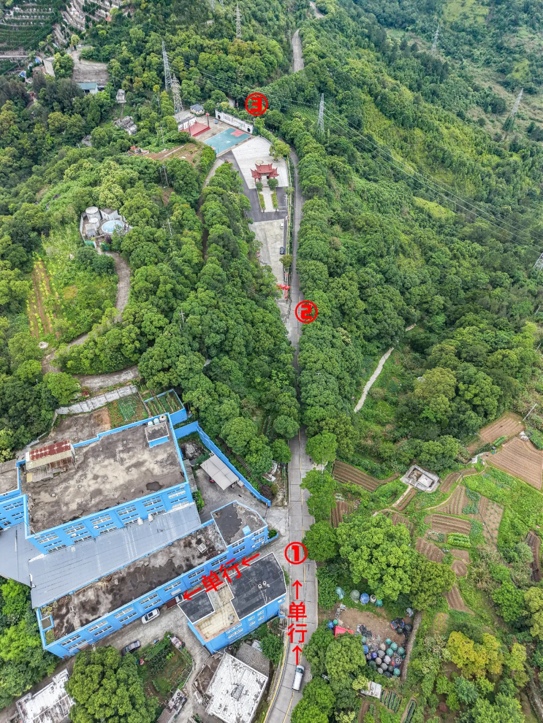“端午”恰逢中考,交通出行提示看这里-第12张图片-四季读书网