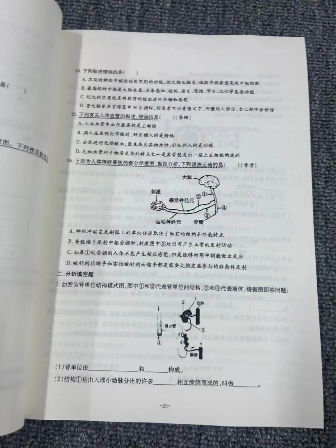 云南特岗教师历年真题来啦-第8张图片-四季读书网