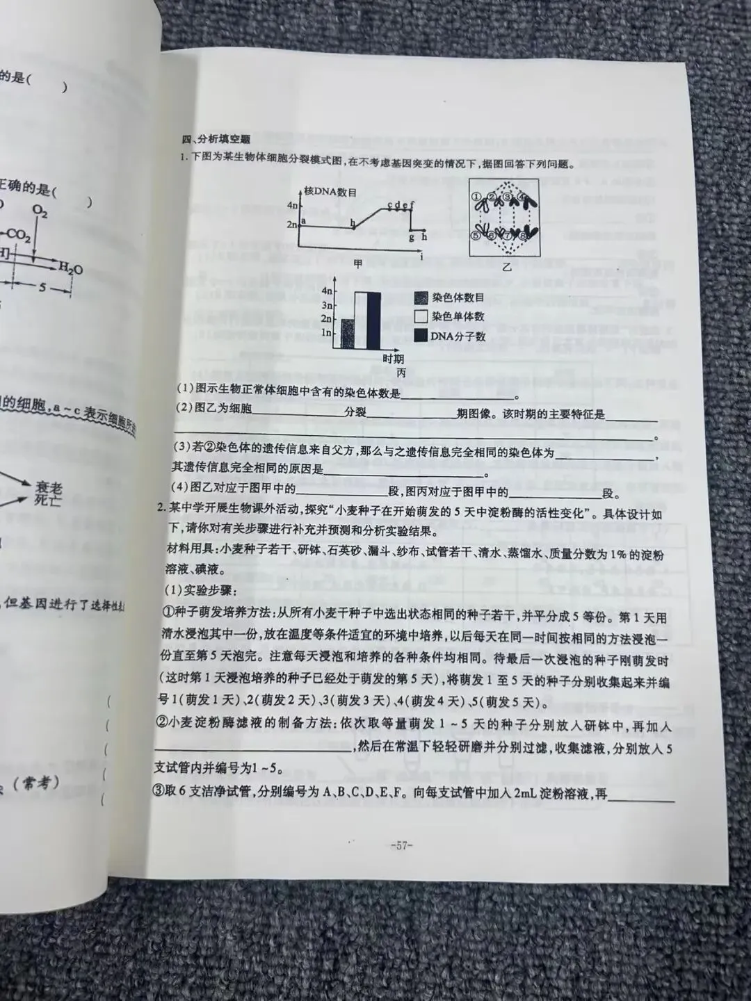 云南特岗教师历年真题来啦-第14张图片-四季读书网