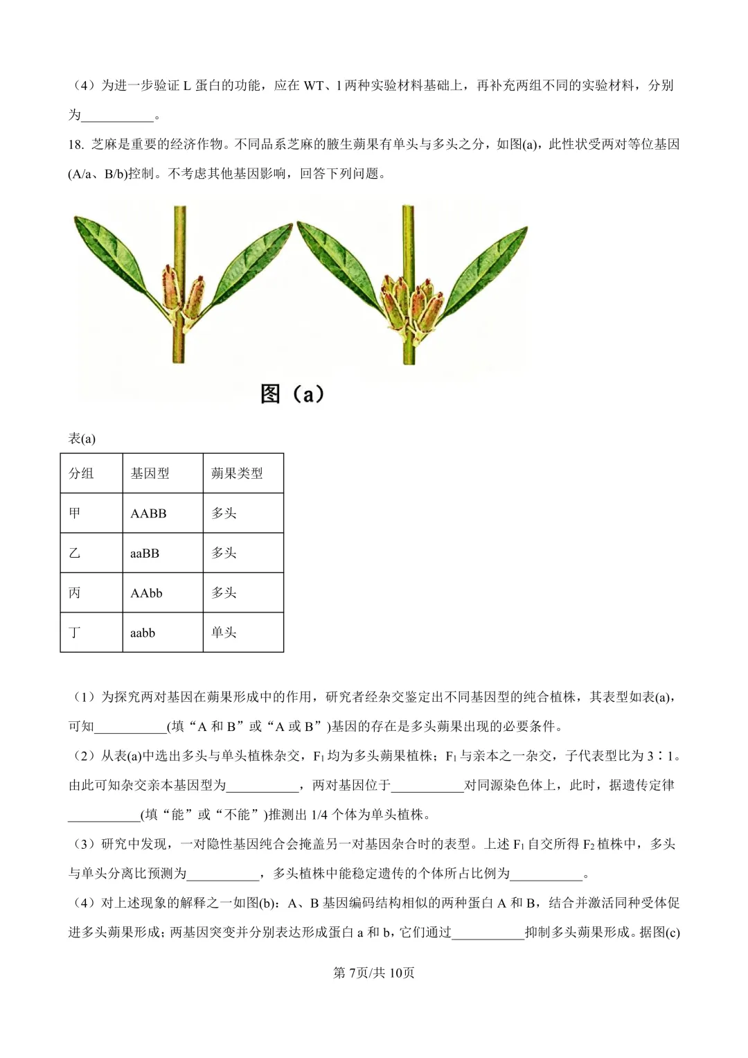 【高考真题】2026年山西高考真题-生物(陕晋青宁卷)-第8张图片-四季读书网 【高考真题】2026年山西高考真题-生物(陕晋青宁卷)-第8张图片-四季读书网